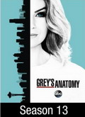 Anatomía de Grey Temporada 13