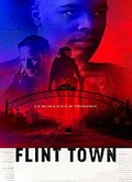 Flint Town 1×01 al 1×08