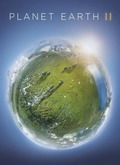 Planeta Tierra II Temporada