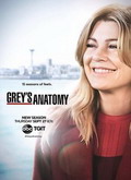 Anatomía de Grey Temporada 15