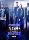 CSI: Cyber Temporada 2