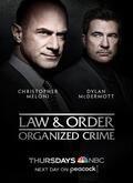 Ley y orden: Crimen organizado 1×02