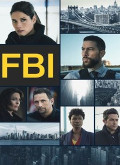 FBI – 5ª Temporada