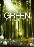 Planeta verde