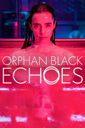 Orphan Black: Echoes – 1ª Temporada