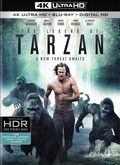 La leyenda de Tarzán (4K)