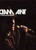 Adam Ant – Live