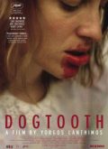 Dogtooth – Kynodontas