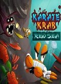 Karate Krab Red Sea