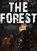 The Forest 1-1
