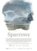 Sparrows (Gorriones)