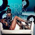 Sexy Funky House Grooves Vol.03