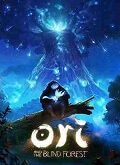 Ori and the Blind Forest Update 2