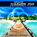 Seriously Records Presents Compilation Summer