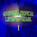 Carnaval Tropical Latino de Brasil Vol. 1